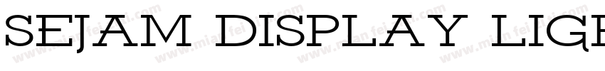 Sejam Display Light字体转换